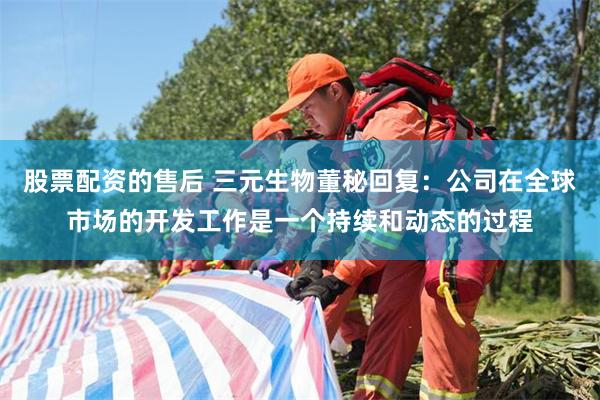 股票配资的售后 三元生物董秘回复：公司在全球市场的开发工作是一个持续和动态的过程