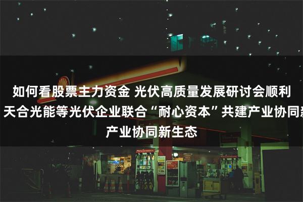 如何看股票主力资金 光伏高质量发展研讨会顺利召开，天合光能等光伏企业联合“耐心资本”共建产业协同新生态