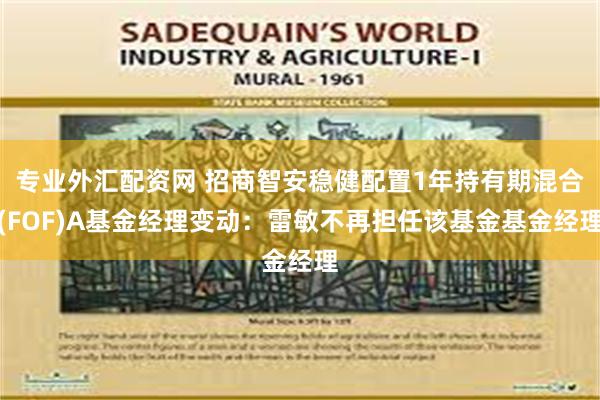 专业外汇配资网 招商智安稳健配置1年持有期混合(FOF)A基金经理变动：雷敏不再担任该基金基金经理