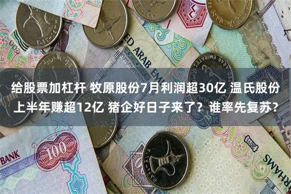 给股票加杠杆 牧原股份7月利润超30亿 温氏股份上半年赚超12亿 猪企好日子来了？谁率先复苏？