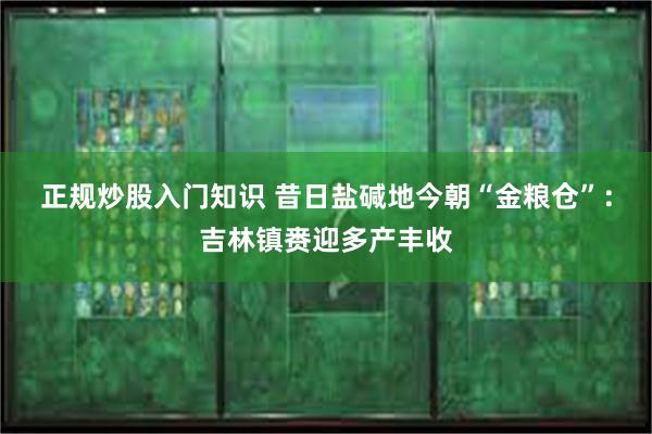 正规炒股入门知识 昔日盐碱地今朝“金粮仓”：吉林镇赉迎多产丰收