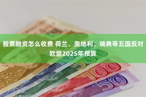 股票融资怎么收费 荷兰、奥地利、瑞典等五国反对欧盟2025年预算