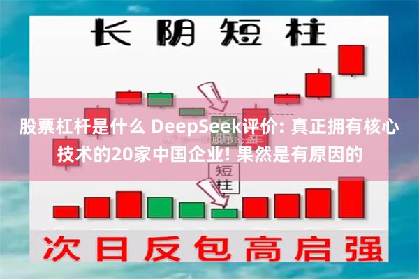 股票杠杆是什么 DeepSeek评价: 真正拥有核心技术的20家中国企业! 果然是有原因的