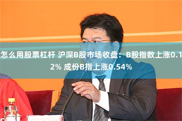 怎么用股票杠杆 沪深B股市场收盘：B股指数上涨0.12% 成份B指上涨0.54%